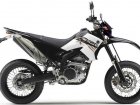 Yamaha WR 250X